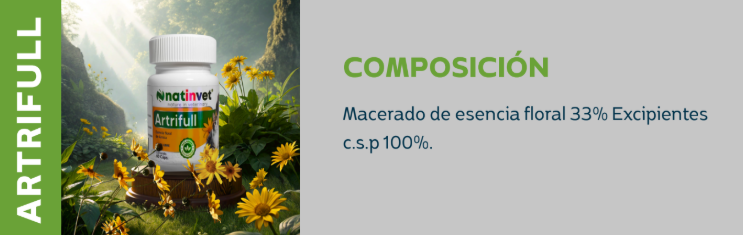 Artrifull Fco x 60 Capsulas