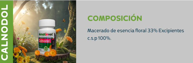 Artrifull Fco x 60 Capsulas