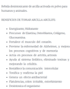 Arcilife Polvo x 200 grs