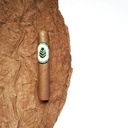 MINIS X 10 UNID	8 CM