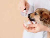 Meloxican gotas 30 ml