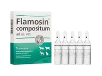 Flamosin Compositum Vet ampolla x 5 ml (Mucosa) caja x 5 ampollas 