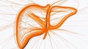 vimeo - [Video]
