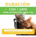 Duración Maiz Cat