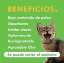 Maiz Cat Beneficios