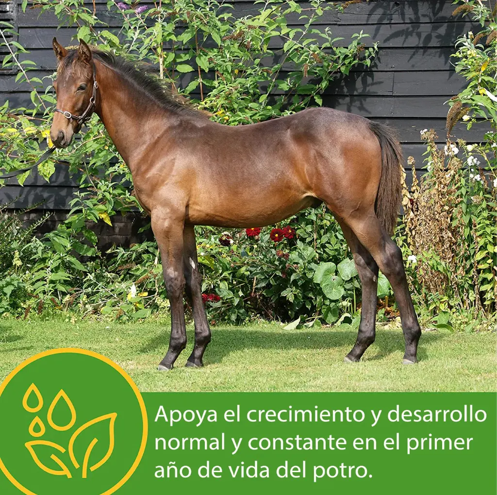 Grow Colt