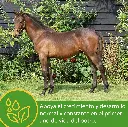 Grow Colt