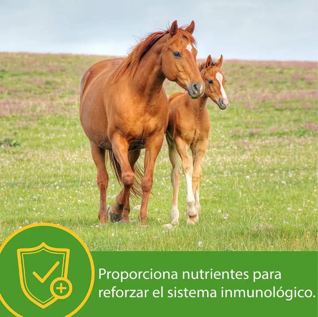 Grow Colt