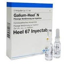 Galium ampolla caja x 5 ampollas