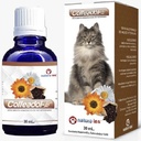 Coffeadol-Les Gatos x 30 ml
