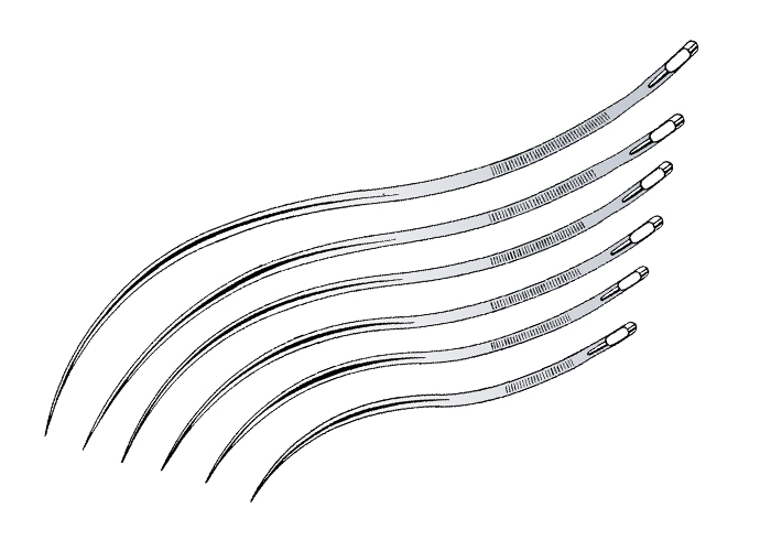 Aguja Sutura Tipo Californiana en S #1, 5.5 pulgada