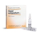 Hepar Compositum amp Heel caja x 5