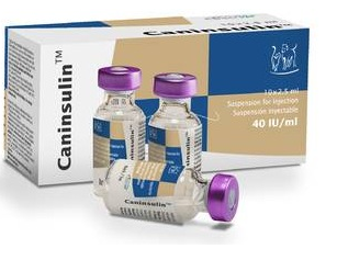 Caninsulin 2,5 ml