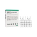 Echinacea compositum amp