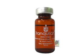 Tranquilan amp x 10 ml (sosegan)