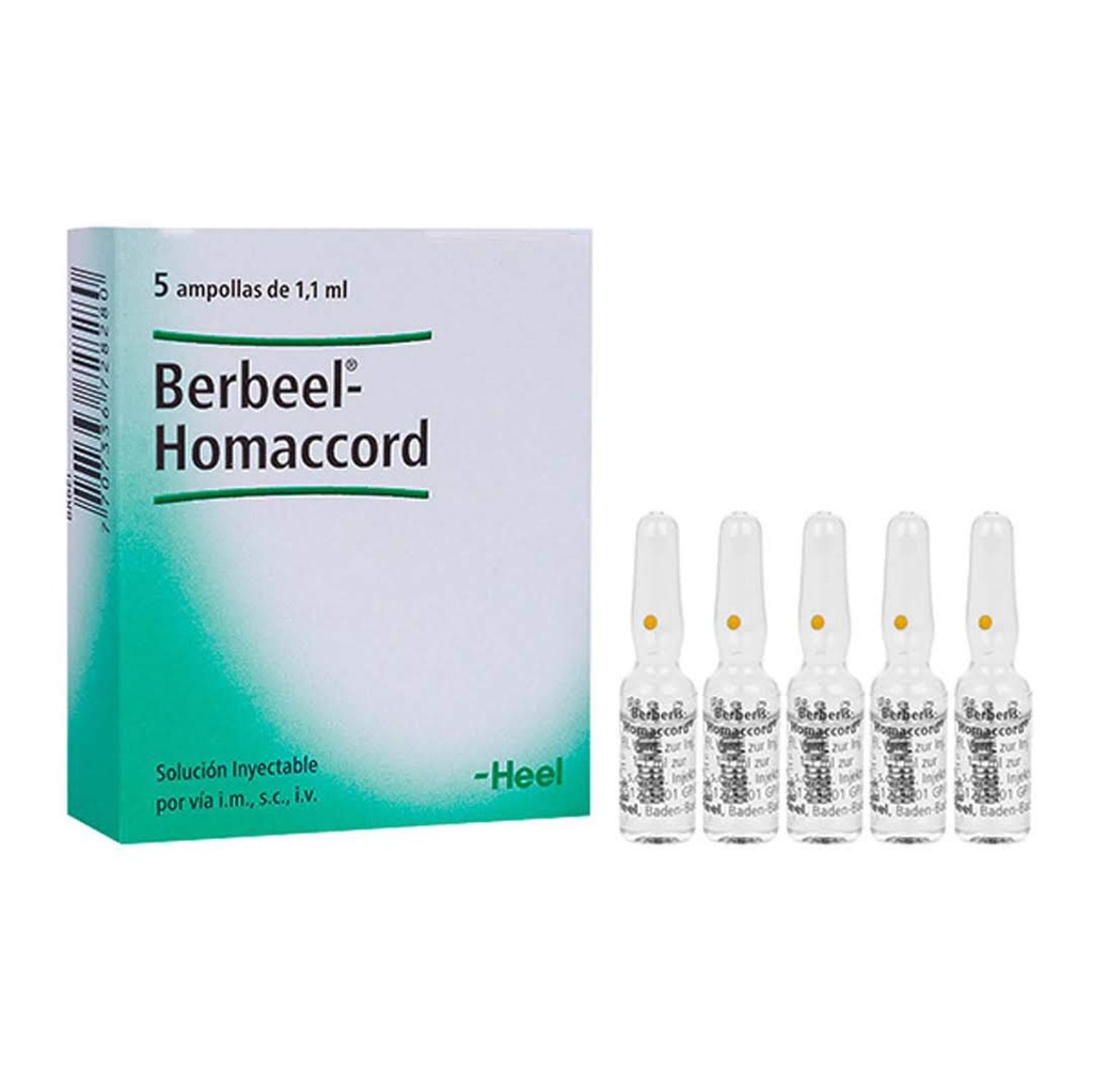 Berberis Homaccord Ad Us Vet Amp caja x 5