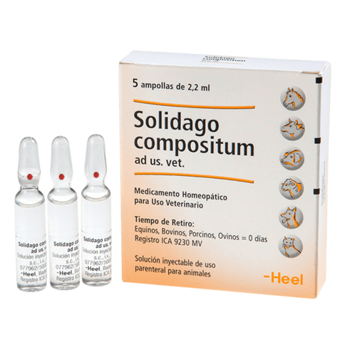 SOLIDAGO VET AMPOLLA X 2.2 ML x 5 