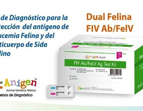 Prueba Rápid del Antígeno Leucemia Viral Felina / Anticuerpo SIDA Felino  (Test Leucemia felina) x 5 test