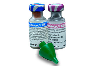 Vacuna Novibac KC (Tos de las perreras)