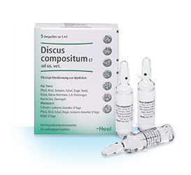 Discus Suis Compositum ampolla caja x 5