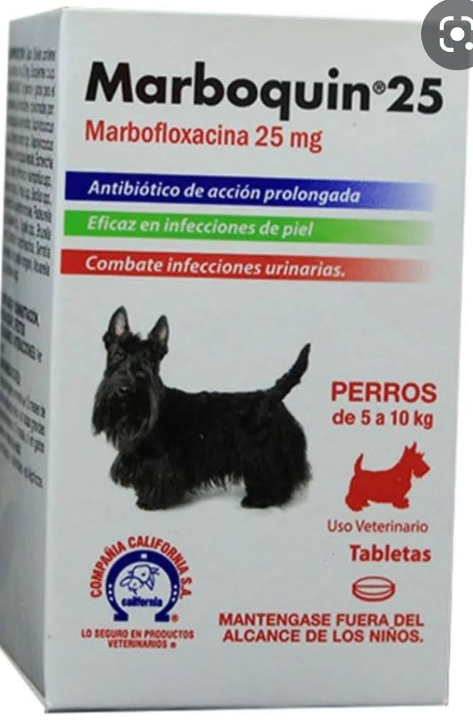 Marboquin 25 caja x 10 Tabletas