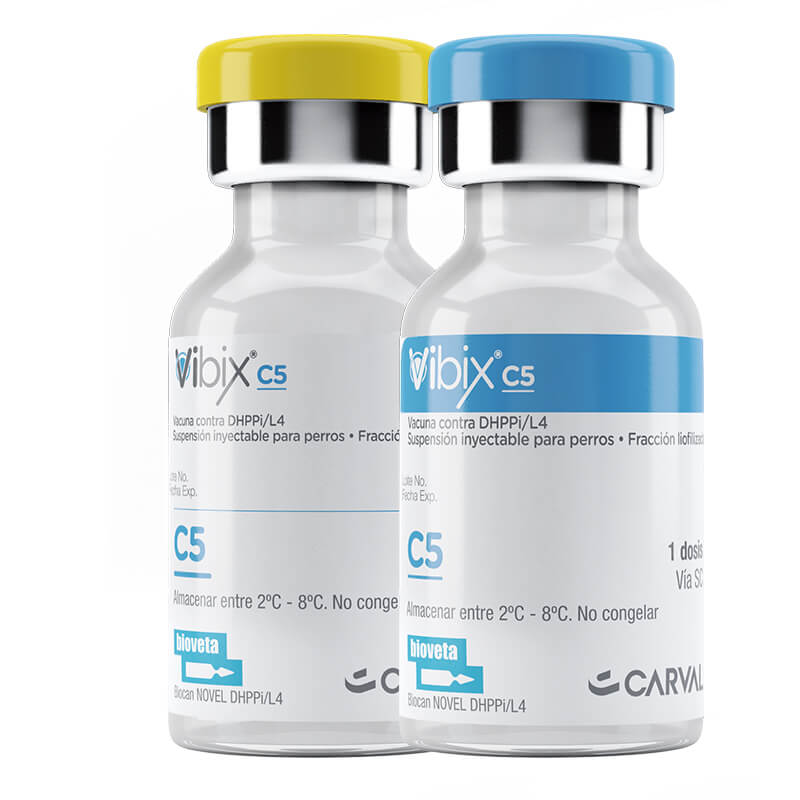 Vibix C5