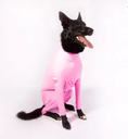 Enterizo Capilli Para Perros Rosa Flamenco XS