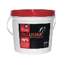 Vita Lisina