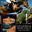 Flex Max 5 Lbs
