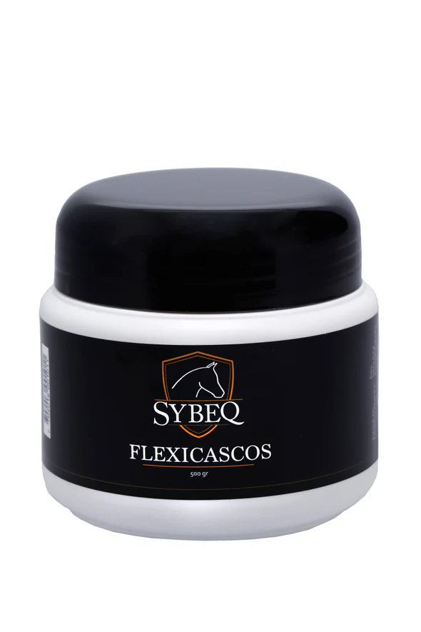 FLEXICASCOS SYBEQ 500 GR