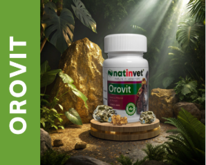 Orovit Frasco x 60 Capsulas