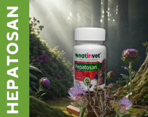 Hepatosan Frasco x 60 Capsulas