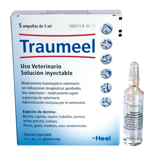 Traumeel Ad Us Vet Amp (Individual)