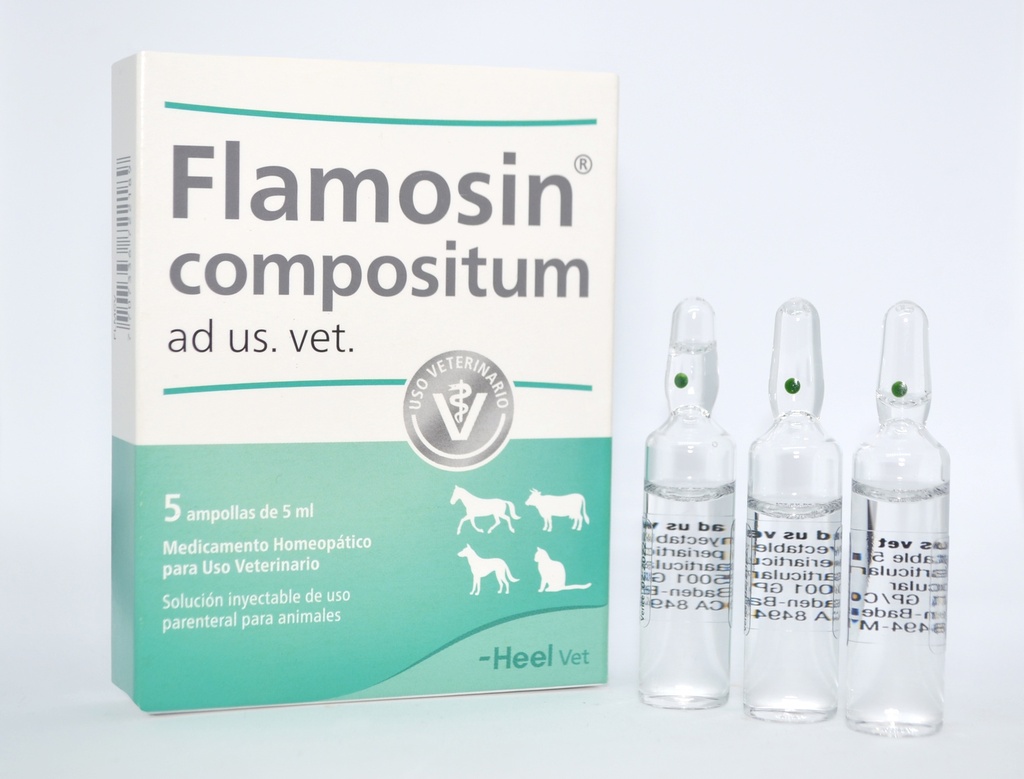 Flamosin Compositum Vet ampolla x 5 ml (Mucosa) caja x 5 ampollas 