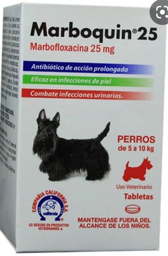 Marboquin 25 caja x 10 Tabletas