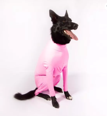 Enterizo Capilli Para Perros Rosa Flamenco M
