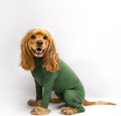 Enterizo Capilli Para Perros Verde Oliva L