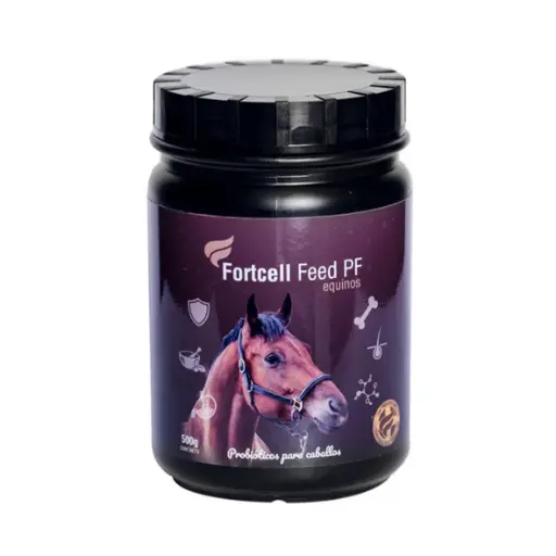 Fortcell Feed