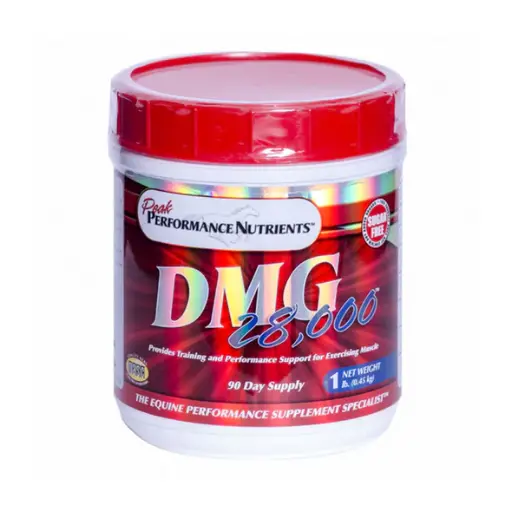 DMG 28000 Lbr