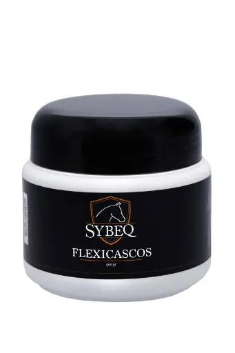 FLEXICASCOS SYBEQ 500 GR