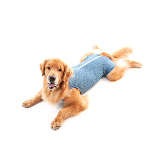 Ropa Protectora Castración Macho DUO DRY - AZUL | 9